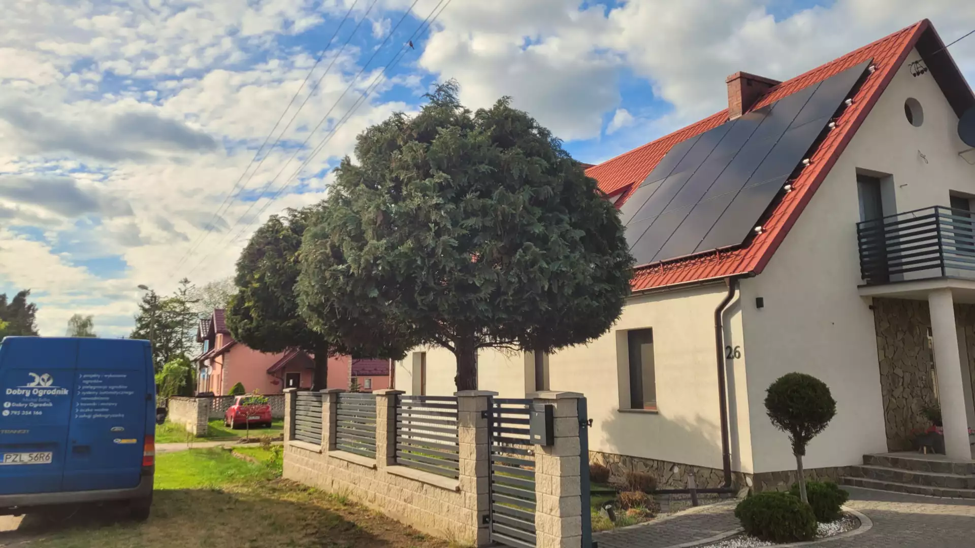 Cięcie dwóch starszych cyprysów na posesji w Zakrzewie – pielęgnacja i formowanie iglaków